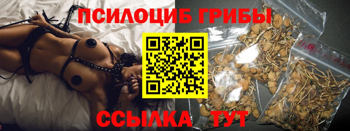 Галлюциногенные грибы Psilocybe  Вход с VPN  Балахна  Псилоцибиновые грибы ЛСД 