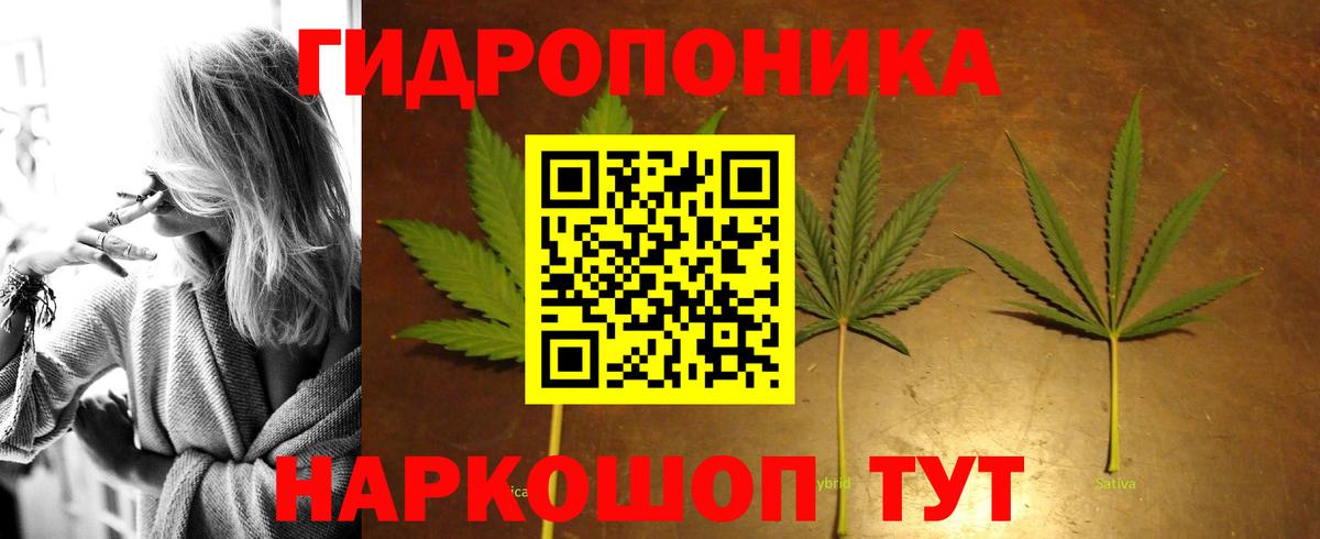 Балахна  Бошки марихуана Bruce Banner  Вход с VPN  МАРИХУАНА White Widow  Канабис Bruce Banner 